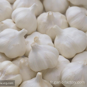 Supply Garlic New Season - prix pas cher